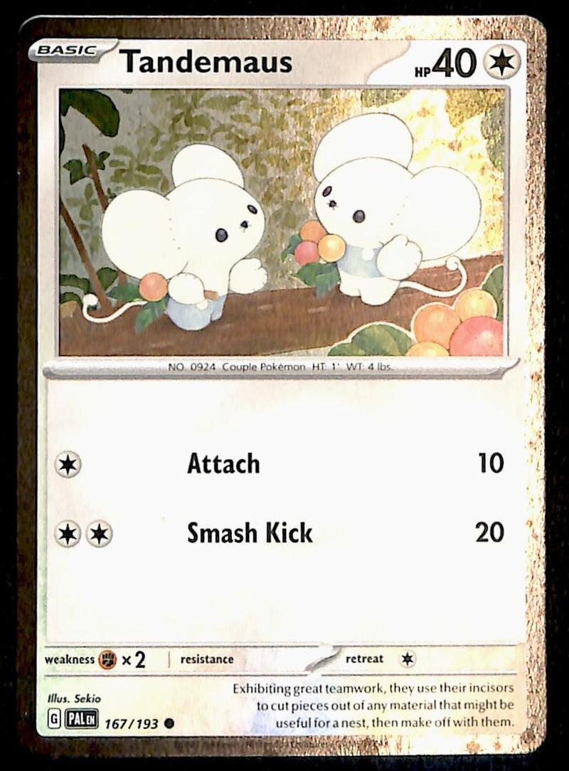 Tandemaus Cosmos Holo Paldea Evolved 167/193, NM Pokemon Card