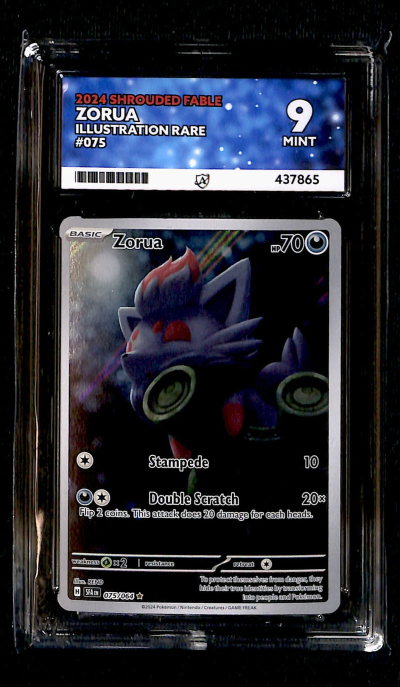 Zorua Illustration Rare 075/064 Shrouded Fable, ACE 9 Pokemon Card